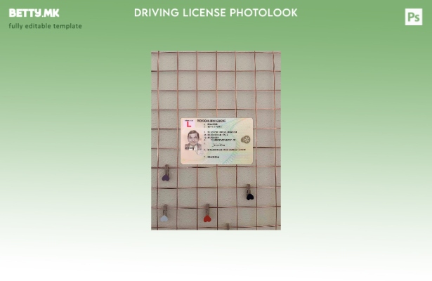 модерен стил Обединетото Кралство привремена возачка дозвола photolook шаблон FR